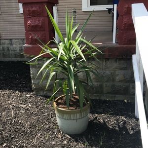 Meet your Posher, Jone